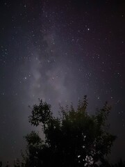 night sky © Szymon