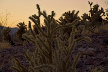 The sun sets over Borrego Springs, a small town on the edges of the Colorado Desert of California