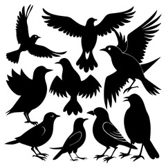 Obraz premium A collection of birds depicted in striking black silhouette art displaying various poses that highlight their unique features and gracefulness