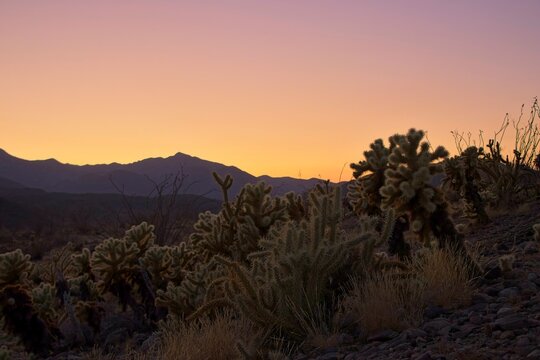 The sun sets over Borrego Springs, a small town on the edges of the Colorado Desert of California
