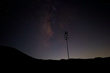 The galactic center risesabove the desert mountains in Anza Borrego Desert State Park, on the edges of the Colorado Desert 