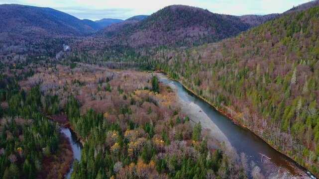 Descente de drone vers une rivi&egrave;re sauvage parcourant une for&ecirc;t automnale dans un paysage aux montagnes arrondies. ( Rivi&egrave;re Anger,  Saint-Jules-Cascap&eacute;dia, Qu&eacute;bec. )
