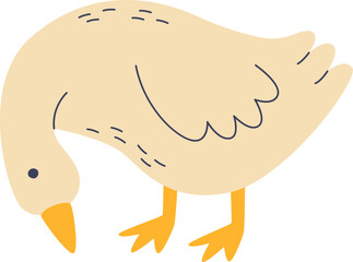 Goose Searching For Food