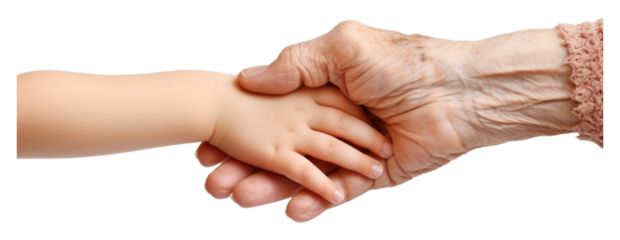 PNG Handshake holding baby white background.