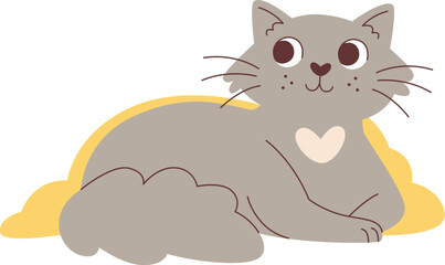 Cat With Blanket