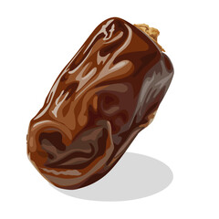 Vector illustration, dried dates, isolated on white background.