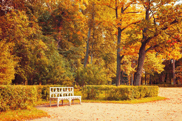 Obraz premium Autumn landscape. Bench in the autumn park under colorful autumn trees. Vintage tones applied