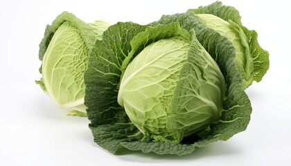 Fototapeta premium cabbage isolated on white