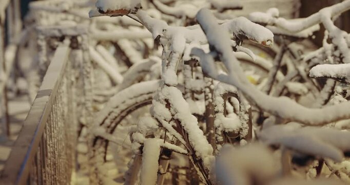 A row of bicycles covered in snow on public parking at night. The snow is piled up on the handlebars and the seat of the bikes. The bikes are leaning against a fence