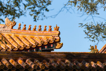 China Beijing Palace Museum Ancient Architecture Landscape