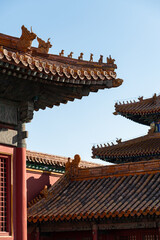 China Beijing Palace Museum Ancient Architecture Landscape