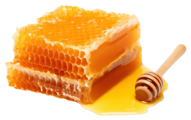 PNG Honeycomb food apiculture medication.