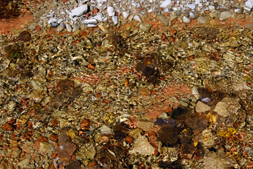 Abstract background patterns - Creek ripples