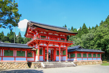 Fototapeta premium 大鳥神社