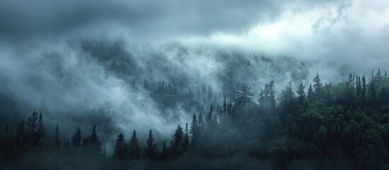 Clouds Has Closed All Sky Over Forest