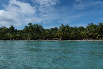 Tropical Beach Paradise with Clear Water, Palm Trees, and Blue Sky - A Serene, Unspoiled Island Destination Offering Eco-Tourism and Adventure Travel in a Beautiful, Scenic Caribbean Setting