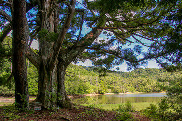 Fototapeta premium 岩尾池