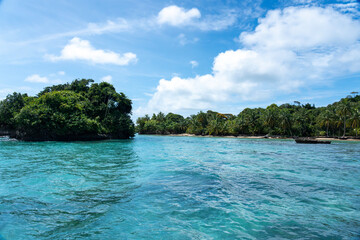 Tropical Beach Paradise with Clear Water, Palm Trees, and Blue Sky - A Serene, Unspoiled Island Destination Offering Eco-Tourism and Adventure Travel in a Beautiful, Scenic Caribbean Setting