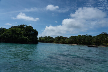 Tropical Beach Paradise with Clear Water, Palm Trees, and Blue Sky - A Serene, Unspoiled Island Destination Offering Eco-Tourism and Adventure Travel in a Beautiful, Scenic Caribbean Setting