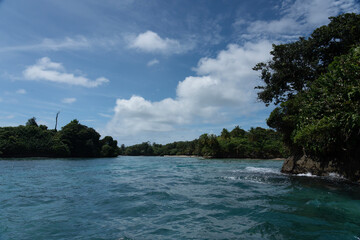 Obraz premium Tropical Beach Paradise with Clear Water, Palm Trees, and Blue Sky - A Serene, Unspoiled Island Destination Offering Eco-Tourism and Adventure Travel in a Beautiful, Scenic Caribbean Setting