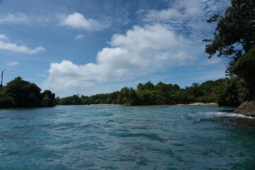 Obraz premium Tropical Beach Paradise with Clear Water, Palm Trees, and Blue Sky - A Serene, Unspoiled Island Destination Offering Eco-Tourism and Adventure Travel in a Beautiful, Scenic Caribbean Setting