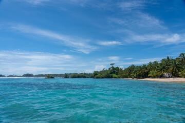 Clear Blue Water and Scenic Tropical Beach Surrounded by Palm Trees and Lush Nature - A Serene Island Paradise Offering Eco-Tourism and Adventure Travel in a Remote, Unspoiled Caribbean Destination