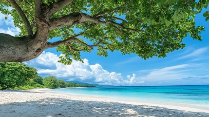 Tropical Beach Paradise with Clear Blue Water, White Sand, and Lush Green Trees on a Sunny Day