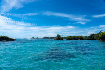 Clear Blue Water and Scenic Tropical Beach Surrounded by Palm Trees and Lush Nature - A Serene Island Paradise Offering Eco-Tourism and Adventure Travel in a Remote, Unspoiled Caribbean Destination