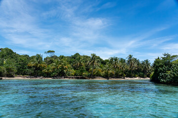 Clear Blue Water and Scenic Tropical Beach Surrounded by Palm Trees and Lush Nature - A Serene Island Paradise Offering Eco-Tourism and Adventure Travel in a Remote, Unspoiled Caribbean Destination