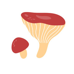 Russula mushroom. Red cap fungi, autumn forest food plant. Gilled fungus. Cozy fall russule icon. Botanical flat graphic vector illustration isolated on white background