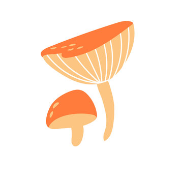 recommend clip art: Russula mushroom. Red cap fungi, autumn forest food plant. Gilled fungus. Cozy fall russule icon. Botanical flat graphic vector illustration isolated on white background