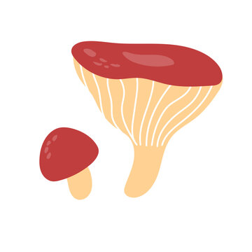 recommend clip art: Russula mushroom. Red cap fungi, autumn forest food plant. Gilled fungus. Cozy fall russule icon. Botanical flat graphic vector illustration isolated on white background