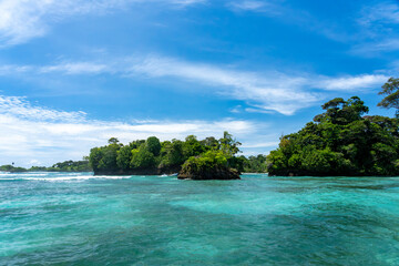 Clear Blue Water and Scenic Tropical Beach Surrounded by Palm Trees and Lush Nature - A Serene Island Paradise Offering Eco-Tourism and Adventure Travel in a Remote, Unspoiled Caribbean Destination