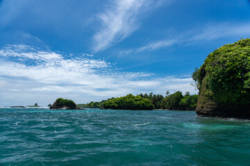 Clear Blue Water and Scenic Tropical Beach Surrounded by Palm Trees and Lush Nature - A Serene Island Paradise Offering Eco-Tourism and Adventure Travel in a Remote, Unspoiled Caribbean Destination