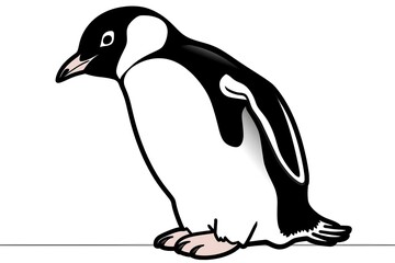 Fototapeta premium penguin on a white background