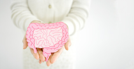Asian woman hands holding intestine shape, healthy bowel digestion, leaky gut, probiotic and prebiotic for gut health, colon, gastric, stomach cancer concept