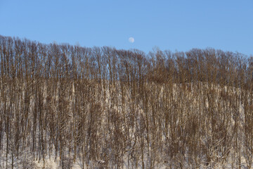 北海道 真冬の雪景色