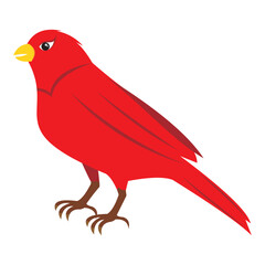 Bird illustration vector art