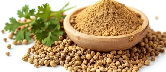 Fototapeta premium Coriander Powder With Coriander Seeds Isolated On White Background