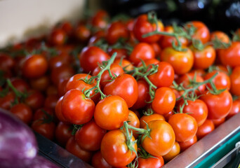 Various varieties of tomatoes presented in window of self-service store. Large and small tomatoes...