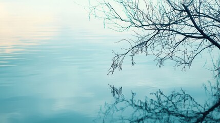 Fototapeta premium Bare Branches Reflecting on Calm Water