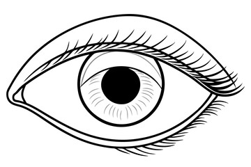 Cut-Out Eye on Transparent Background - High-Definition Visual for Digital Media and Educational Purposes