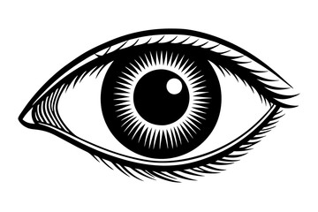 Cut-Out Eye on Transparent Background - High-Definition Visual for Digital Media and Educational Purposes