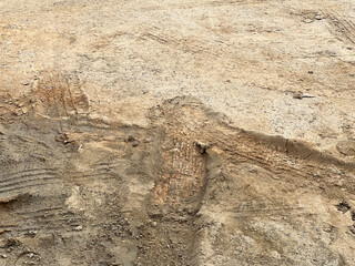 wheel track on dirt road