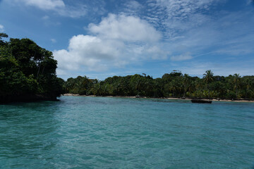 Water, Sea, and Tropical Beach Paradise with Palm Trees and Clear Blue Sky - Serene Island Destination with Lush Nature, Greenery, and sea for a Peaceful and Scenic Caribbean Eco-Tourism Vacation