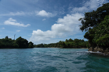 Water, Sea, and Tropical Beach Paradise with Palm Trees and Clear Blue Sky - Serene Island Destination with Lush Nature, Greenery, and sea for a Peaceful and Scenic Caribbean Eco-Tourism Vacation