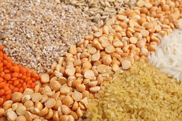 Different types of cereals and lentils as background, closeup