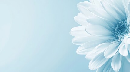 Obraz premium Blue Flower Petals Abstract Background