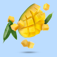 Sweet fresh mango cut in cubes falling on light blue background