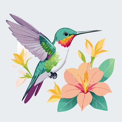 Hummingbird and hibiscus flower. Vector illustration.